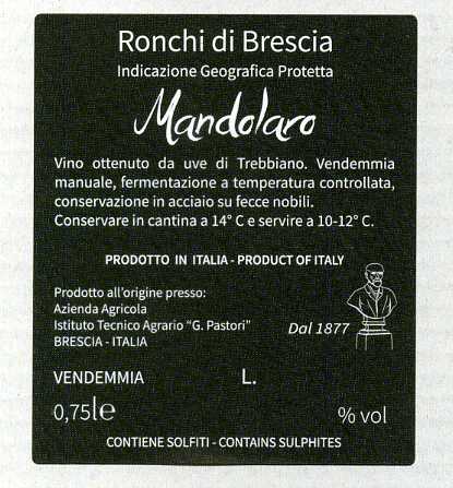 Vino bianco - Mandolaro